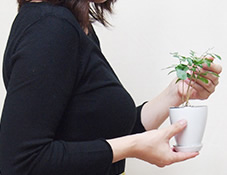 環境に配慮した会社